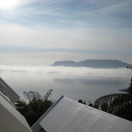 Te Whare -Lake Tarawera Tree-Top Nest מראה חיצוני תמונה